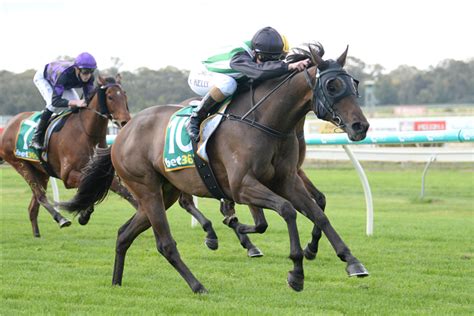 lucky spinner race card|Lucky Spinner Thoroughbred Horse Profile .